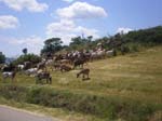 ardechoise2009055