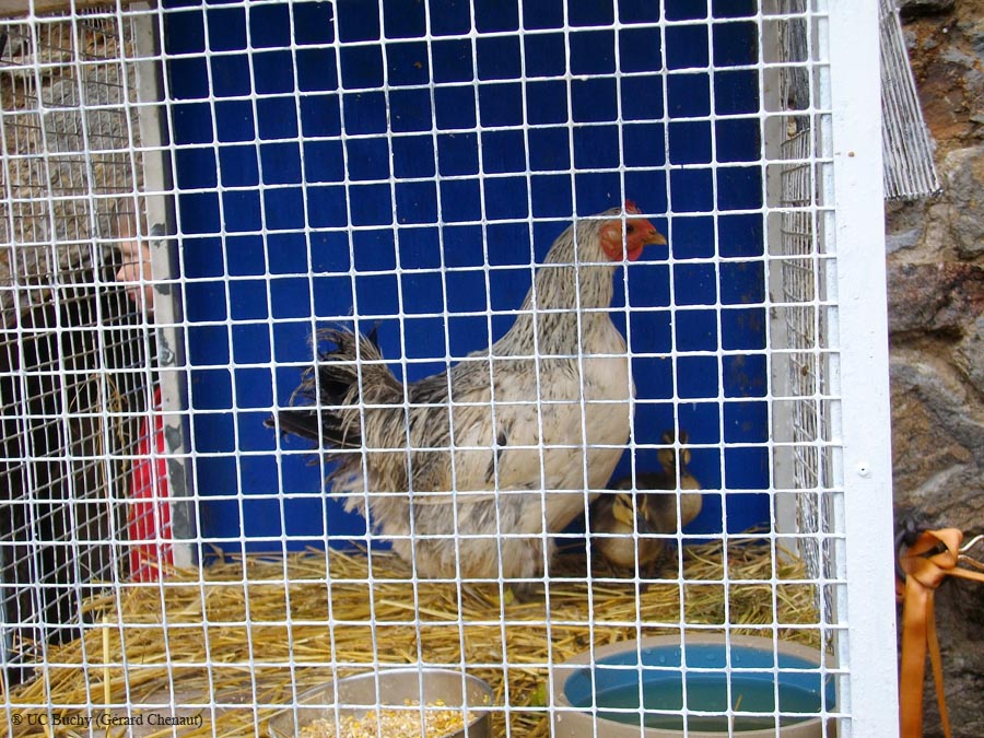 IMGP0928
