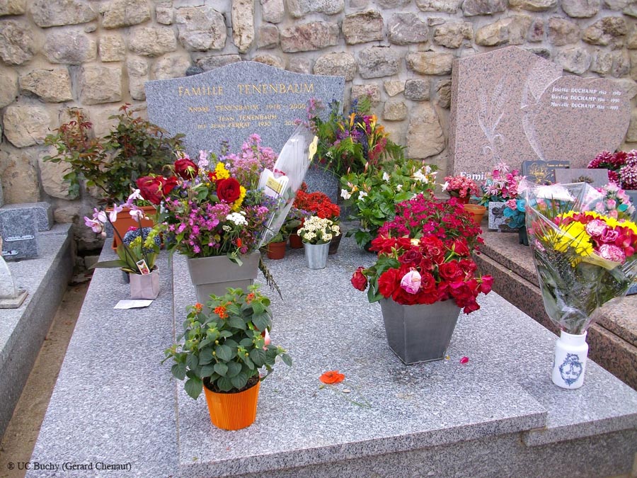 IMGP0952