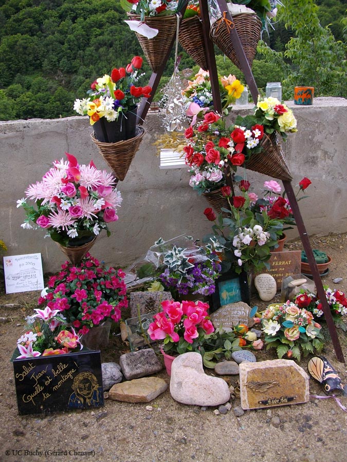 IMGP0953