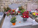 IMGP0952
