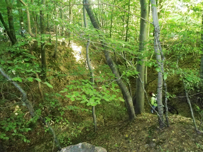DSC02007