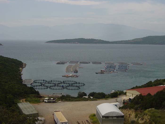 DSC03502
