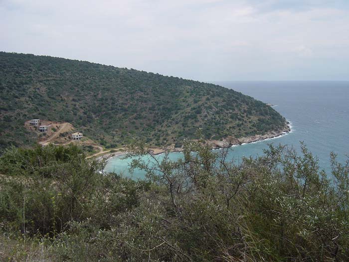 DSC03512