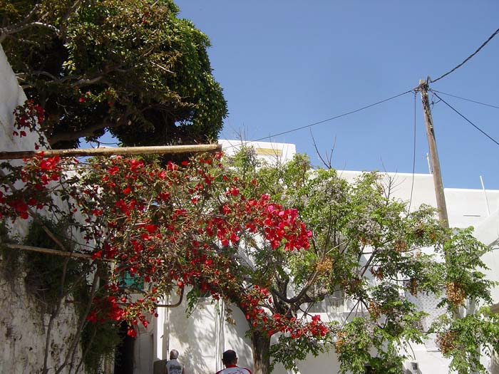 DSC03611