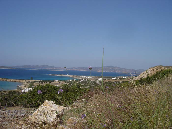 DSC03627
