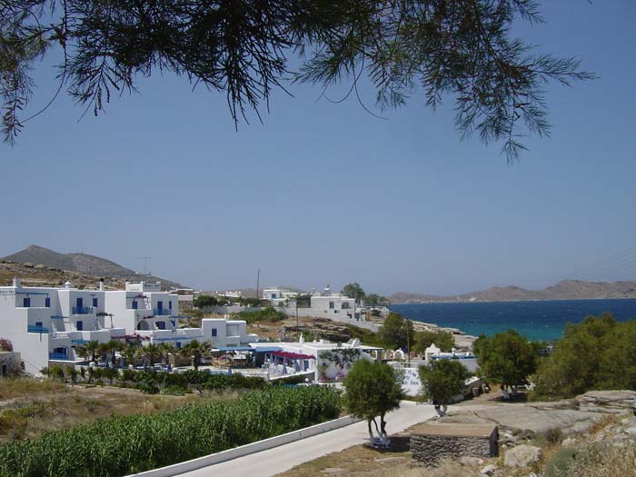 DSC03640