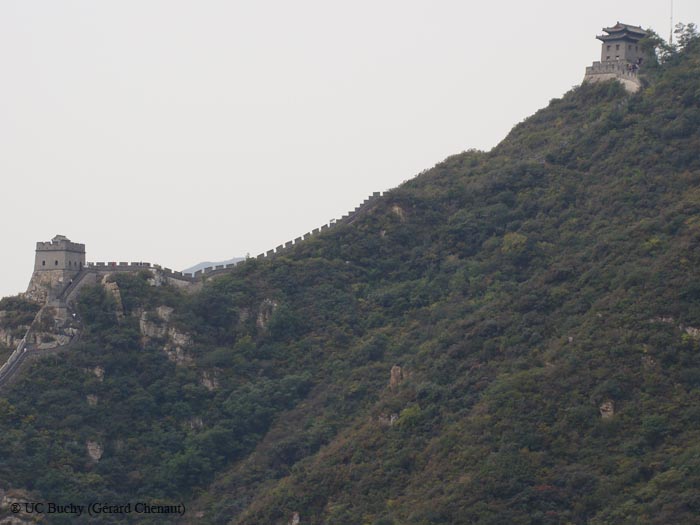 La muraille