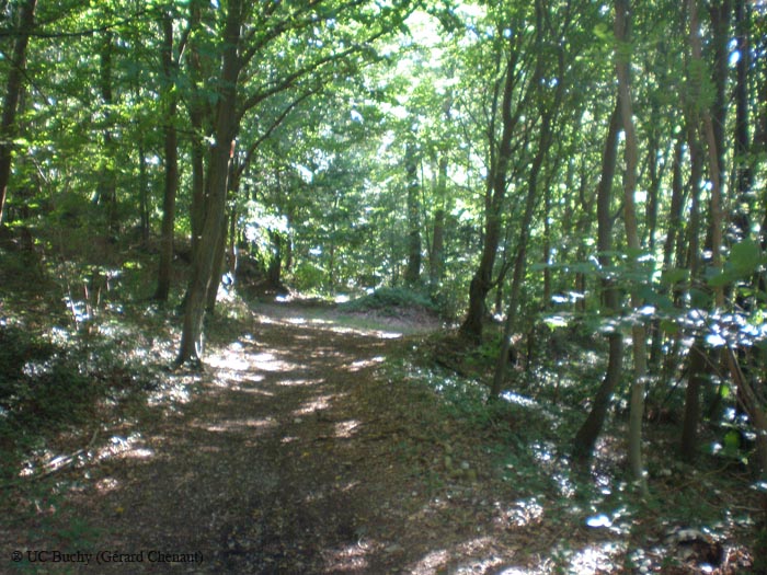 RANDOAVENTUREAOUT2009015