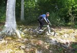 DSCF0508