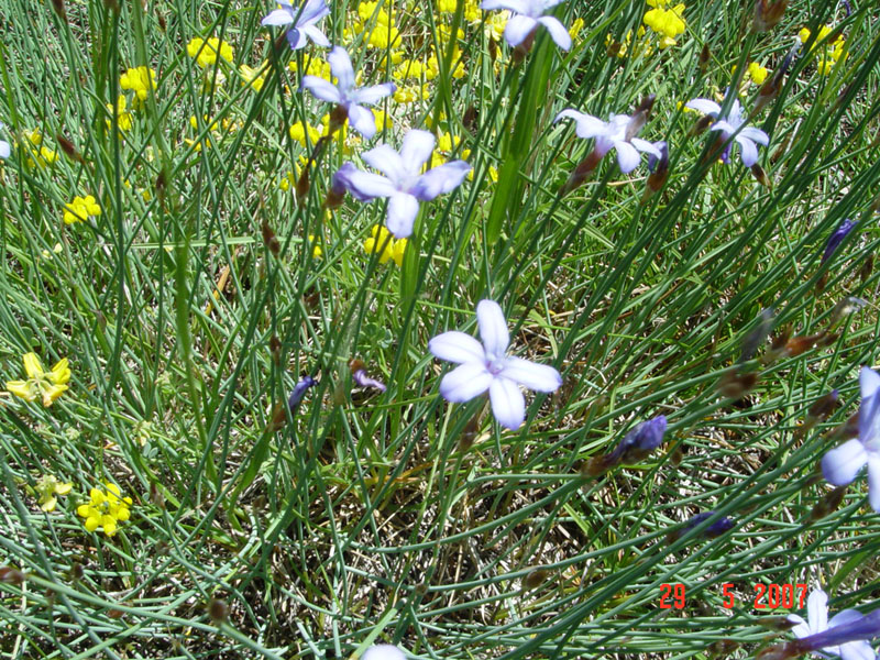 DSC04480