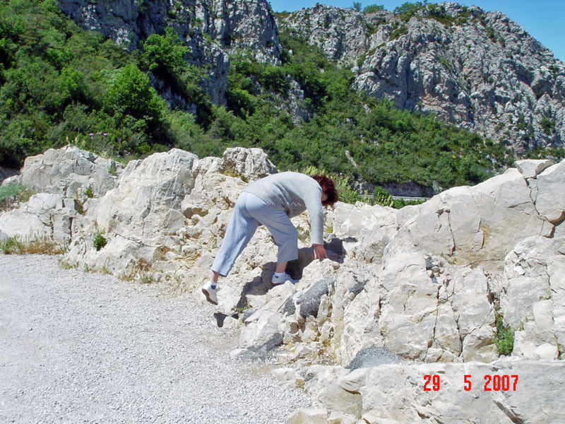 DSC04485