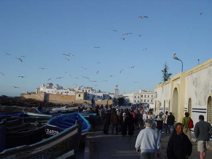 DSC02599