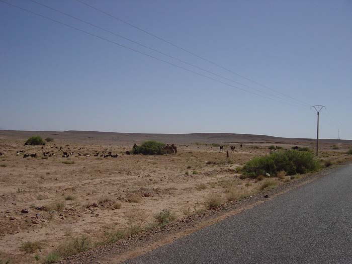 DSC02676