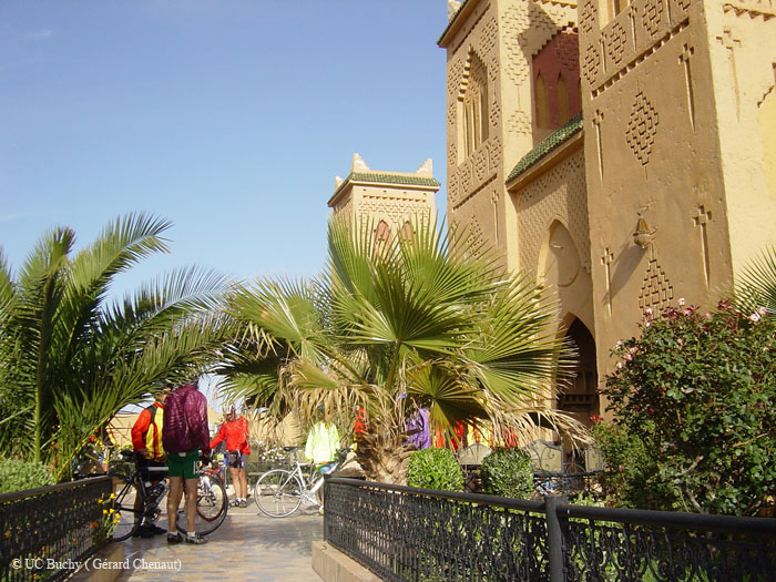 DSC04785