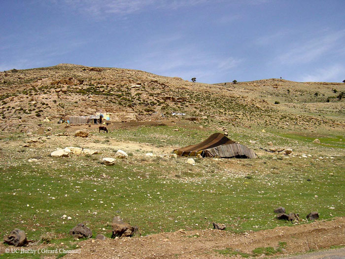 DSC04799