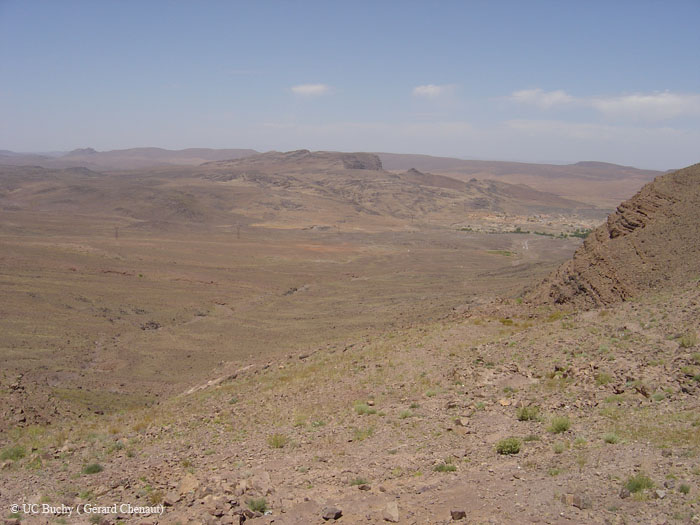Maroc 2007 (121)