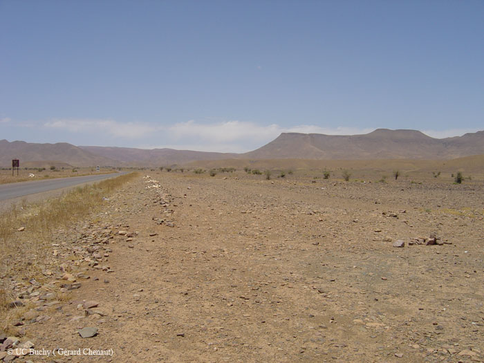 Maroc 2007 (127)