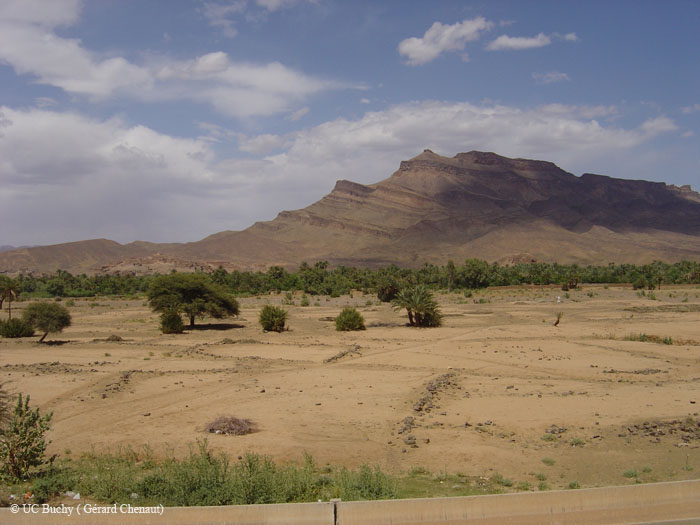 Maroc 2007 (131)
