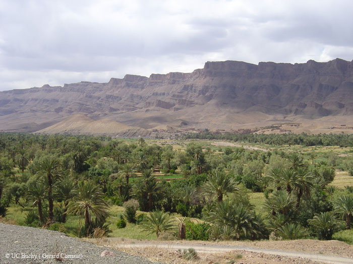 Maroc 2007 (132)