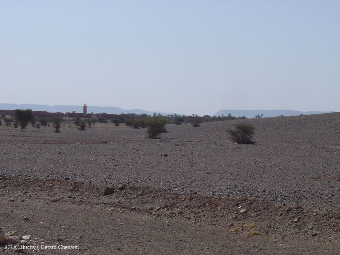 Maroc 2007 (142)