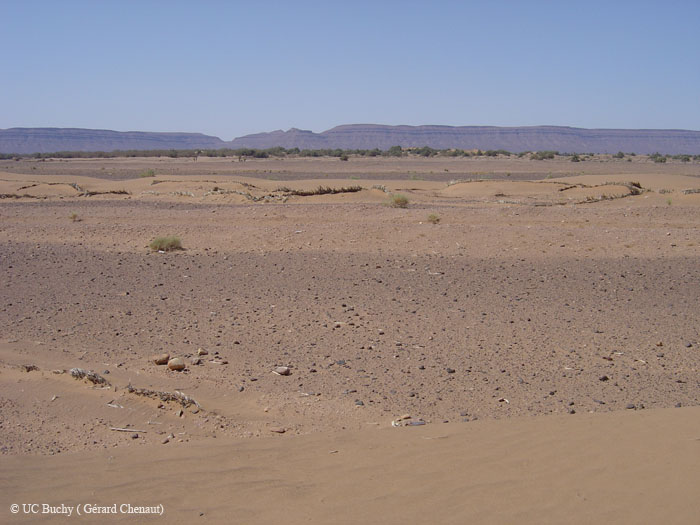 Maroc 2007 (146)