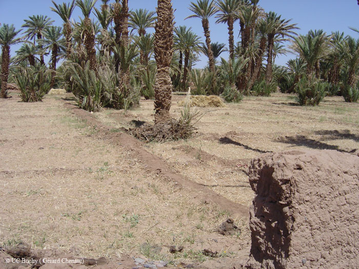 Maroc 2007 (150)