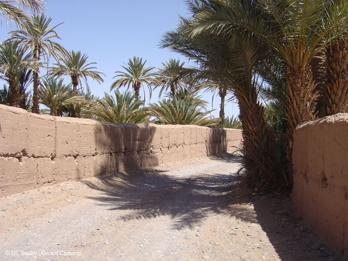 Maroc 2007 (155)