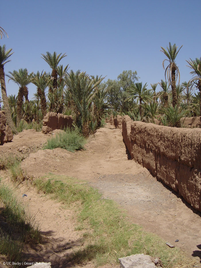 Maroc 2007 (159)