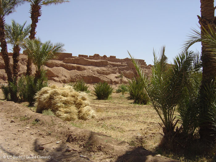 Maroc 2007 (161)