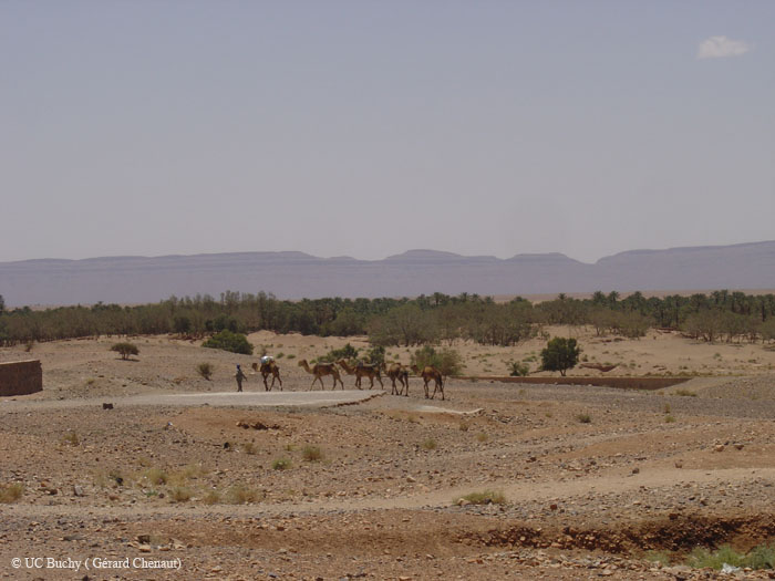 Maroc 2007 (170)