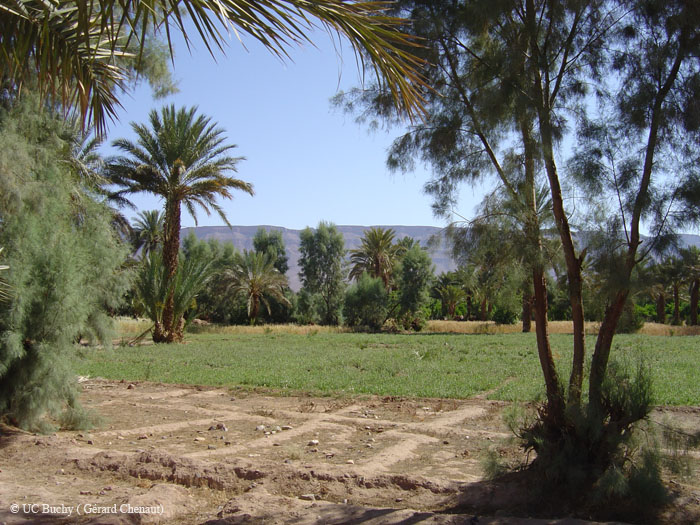 Maroc 2007 (179)