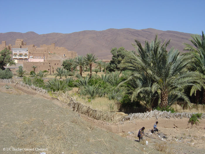Maroc 2007 (180)