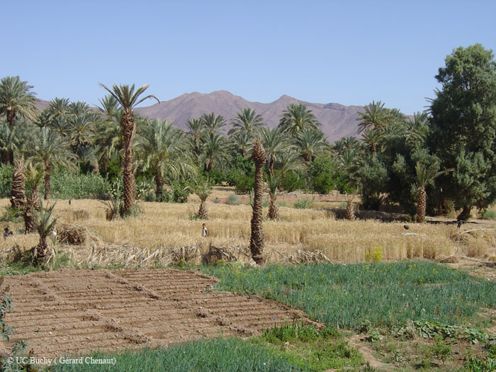 Maroc 2007 (181)