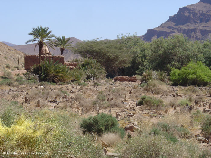 Maroc 2007 (184)