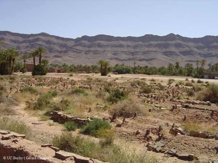Maroc 2007 (185)