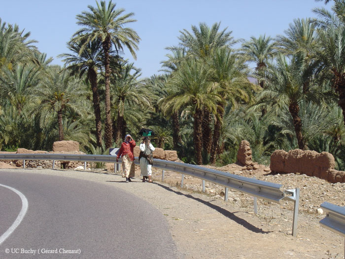 Maroc 2007 (187)