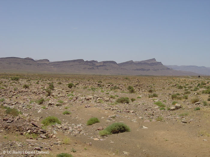 Maroc 2007 (191)