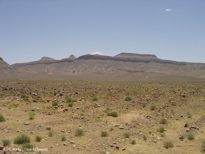 Maroc 2007 (192)
