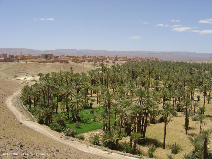 Maroc 2007 (198)