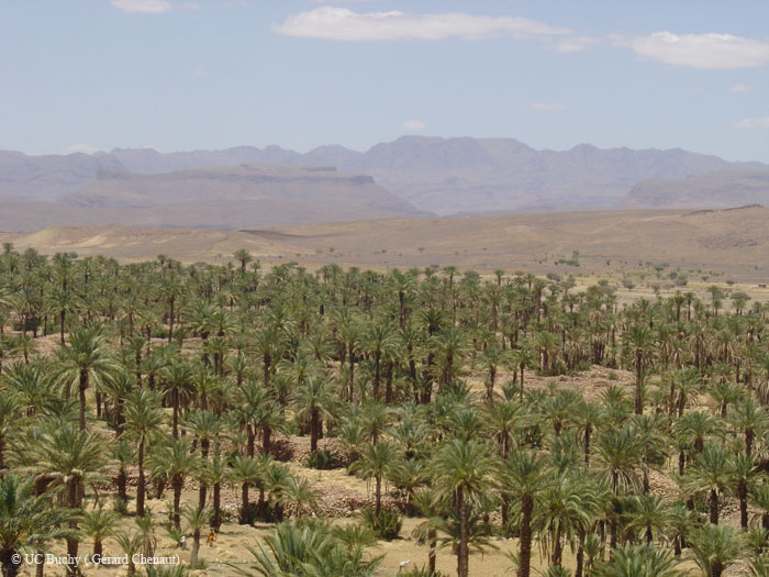 Maroc 2007 (200)