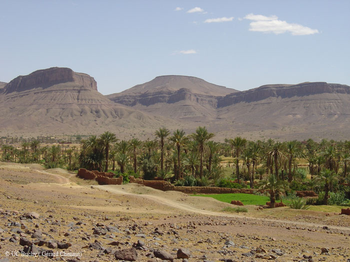 Maroc 2007 (202)