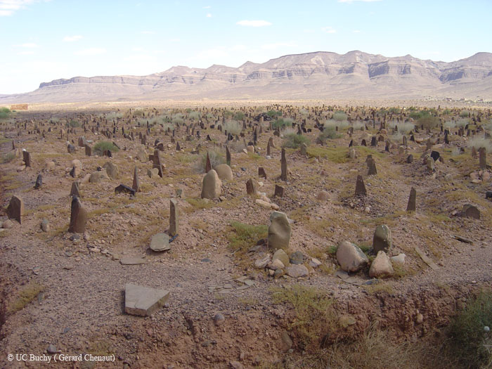 Maroc 2007 (205)
