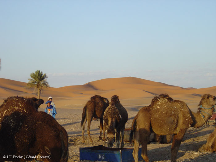 Maroc 2007 (206)