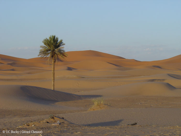Maroc 2007 (207)
