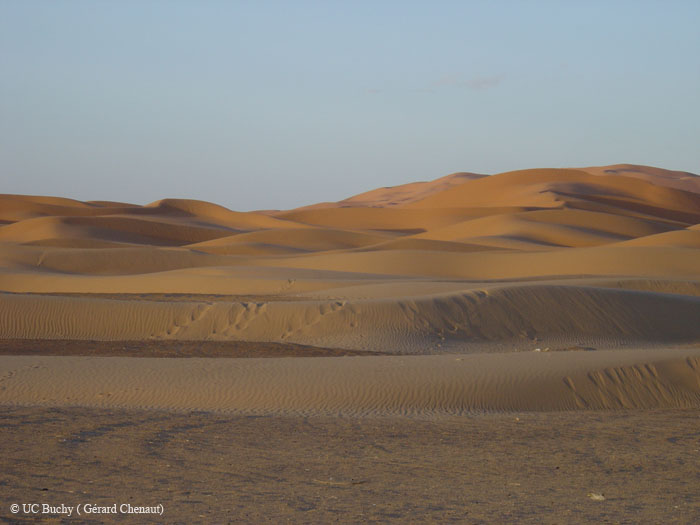 Maroc 2007 (208)