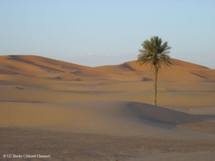 Maroc 2007 (209)
