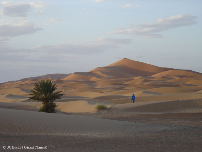 Maroc 2007 (210)