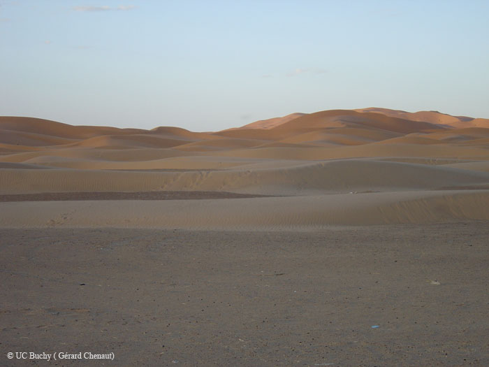 Maroc 2007 (211)