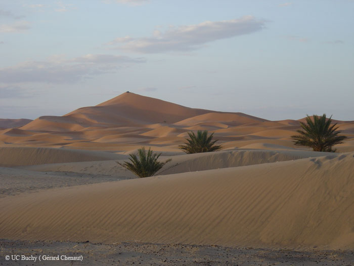 Maroc 2007 (212)